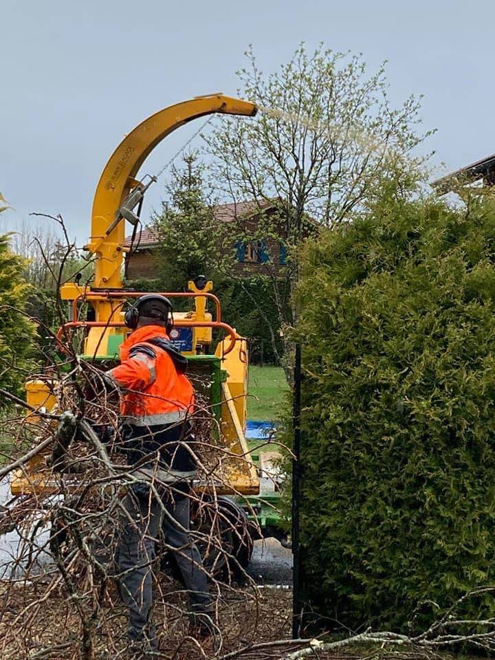 Abattage buisson