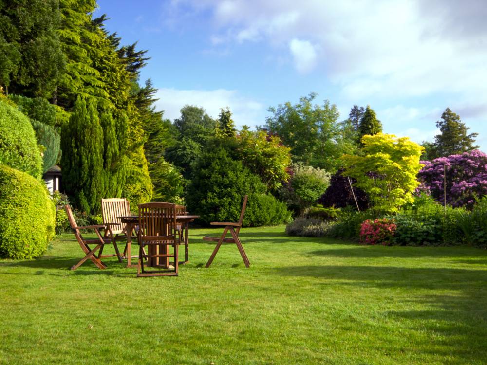 Entretien jardin